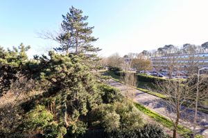 View From Window- click for photo gallery